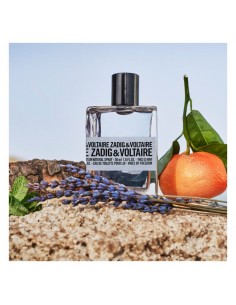 ZODIG & VOLTAIRE THIS IS...