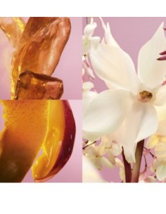 PACO RABANNE FAME - BODY... 2