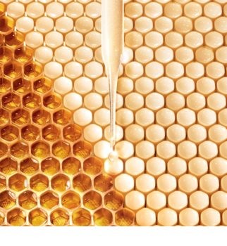 GUERLAIN ABEILLE ROYALE - FORTIFLING LOTION