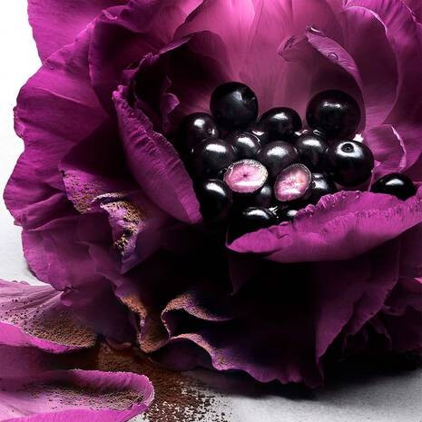 LANCÔME LA NUIT TRÉSOR LE PARFUM - PARFUMSKA VODA