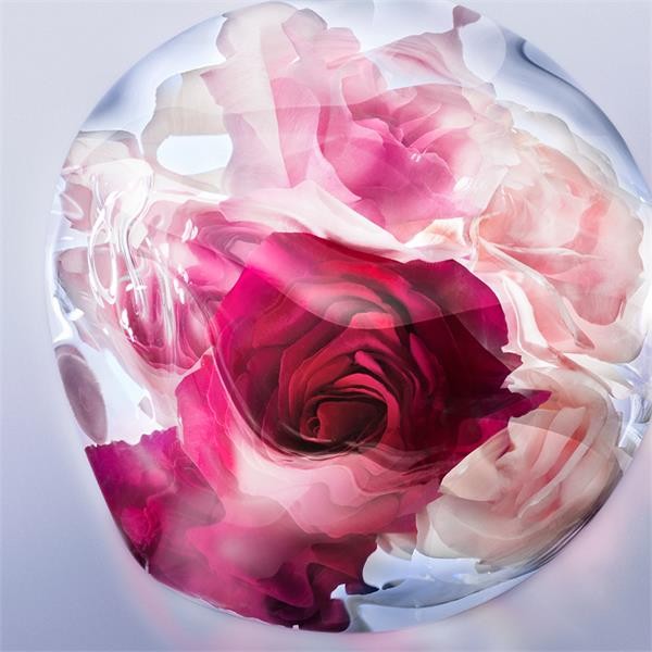 LANCÔME LA VIE EST BELLE  ROSE EXTRAORDINAIRE - PARFUMSKA VODA