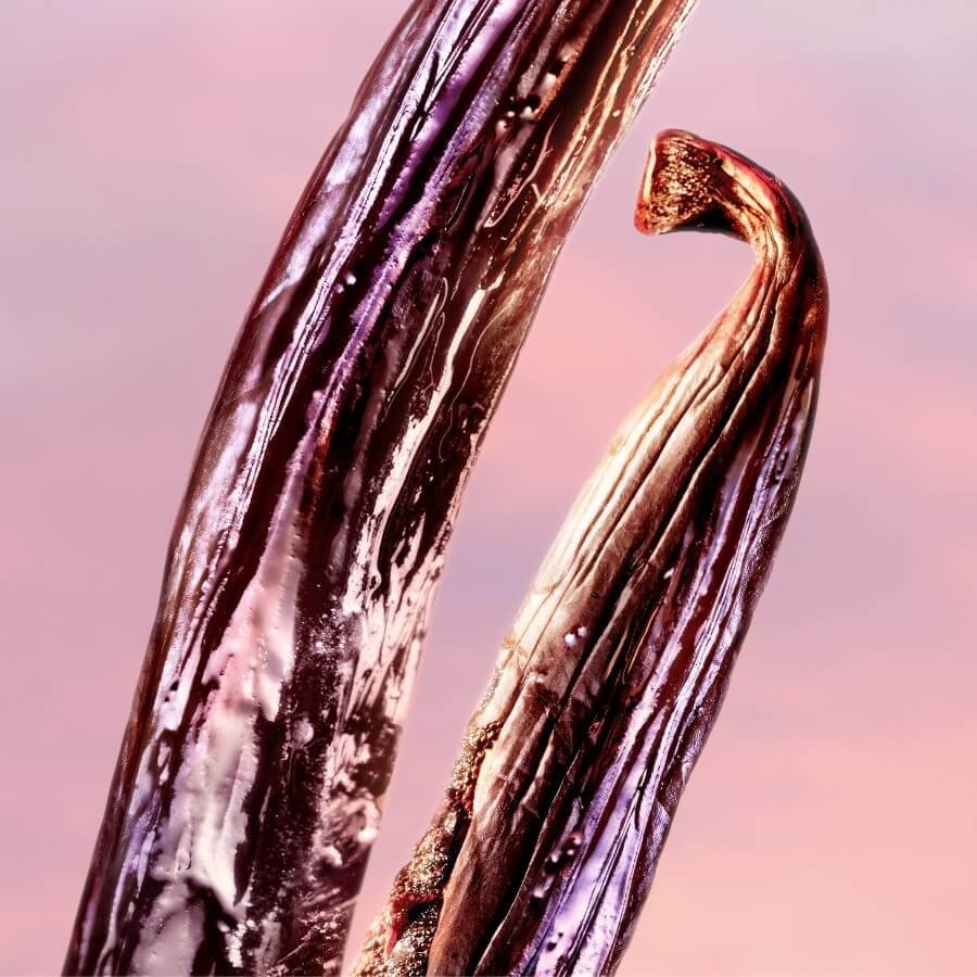LANCÔME LA VIE EST BELLE VANILLA NUDE - PARFUMSKA VODA