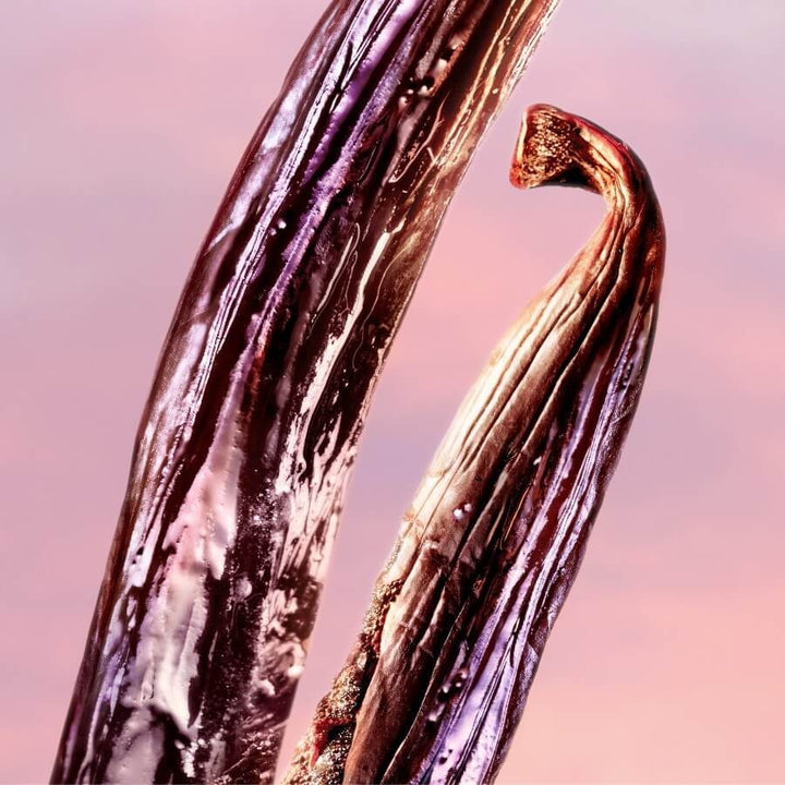 LANCÔME LA VIE EST BELLE VANILLA NUDE - PARFUMSKA VODA