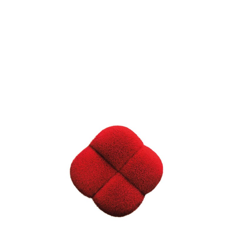SHISEIDO - HANATSUBAKI HAKE POLISHING FACE BRUSH