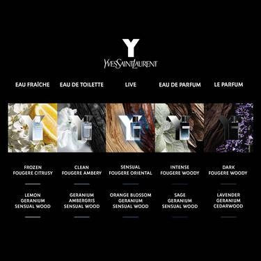 YVES SAINT LAURENT Y LE PARFUM - PARFUMSKA VODA